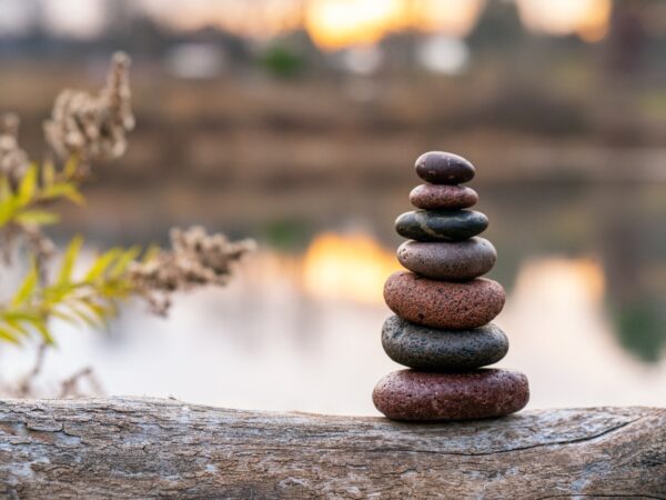 Resilienz